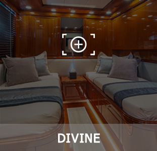 DIVINE