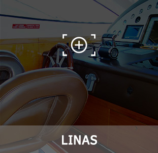 LINAS